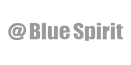 Blue Sprit 로고